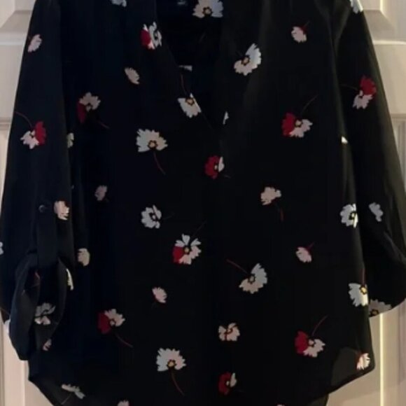 ISO XSP 41 Hawthorn - Picture 2 of 3